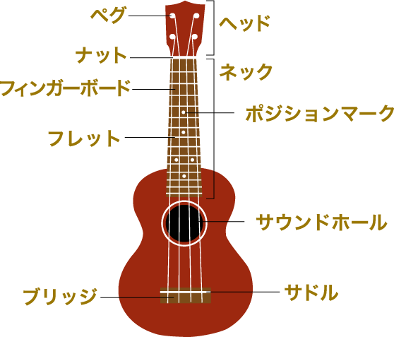 ウクレレについての基礎知識 西川ギター ウクレレ教室